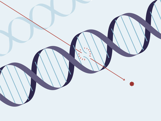 Grafik: Zwei DNA-Stränge. Einer ist durch Strahlung zerstört.