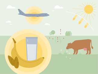 Grafik mit Lebensmittel, Kuh auf der Weide, Flugzeug ist kosmischer Strahlung ausgesetzt, Radon dringt aus dem Boden