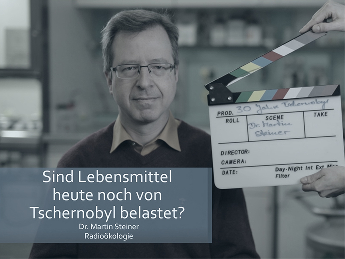 Screenshot aus dem Experteninterview