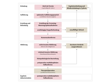 Ablaufplan des Screenings