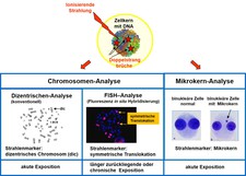 Methoden der biologischen Dosimetrie