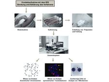 Vorgehen bei der biologischen Dosimetrie