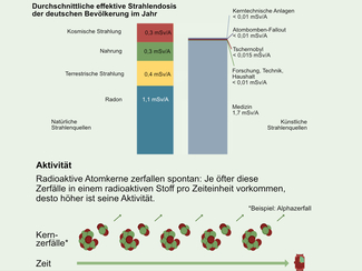 Darstellung durchschnittlicher effektiver Strahlendosen durch natürliche und künstliche Strahlenquellen sowie von Aktivität