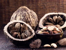 Brazil nut fruit (Bertholletia excelsa) with Brazil nuts