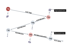 Diagram of the radon decay chain