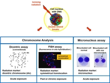 Biological dosimetry: methods