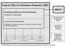 Organisational chart of the BfS Coordinating Office for Internal Monitoring